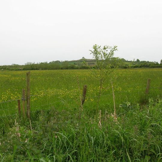 West Moor SSSI