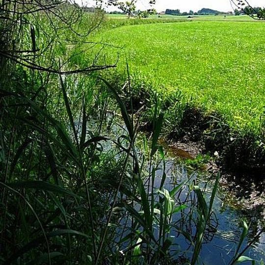 Inschutznahme der Oberallmannshauser Filze als LSG im Bereich der Gemeinden Höhenrain und Münsing