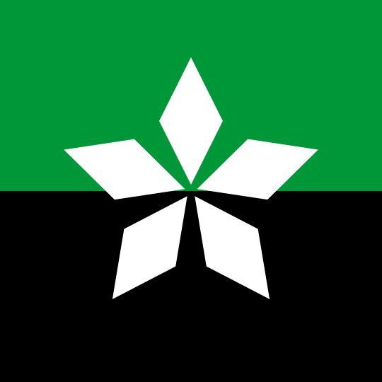 Soledar urban hromada