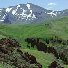 Shoshone National Forest