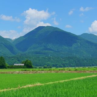 Mount Gonomiya