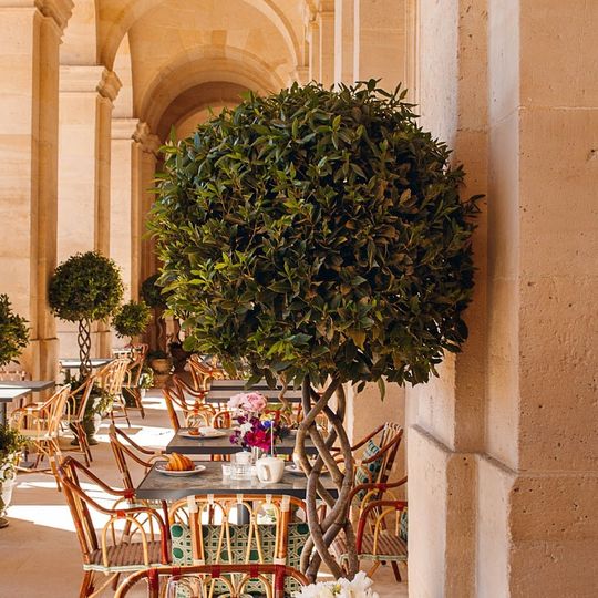 Café Lapérouse