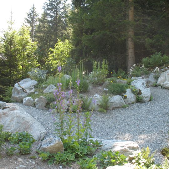 Giardino botanico di Castel Savoia