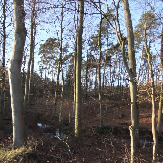 Reiher- und Röhrbach