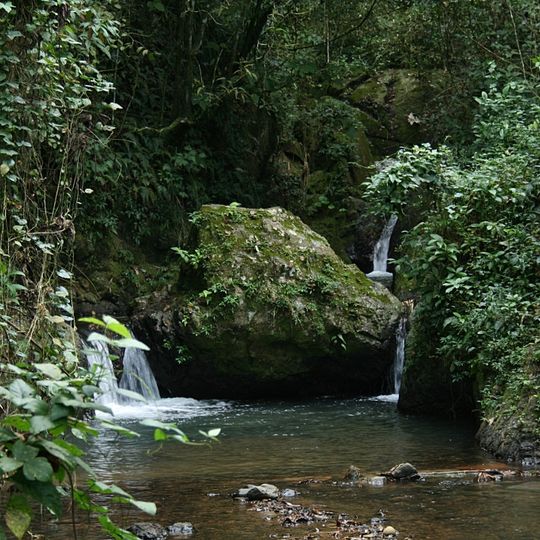 Bosque estatal de Maricao