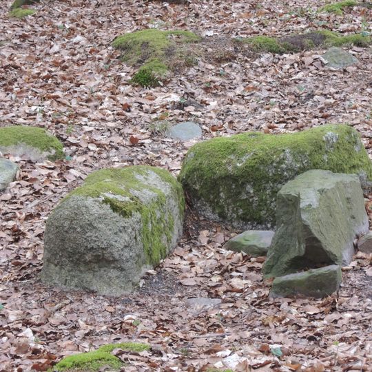 Steinkiste Hohes Holz