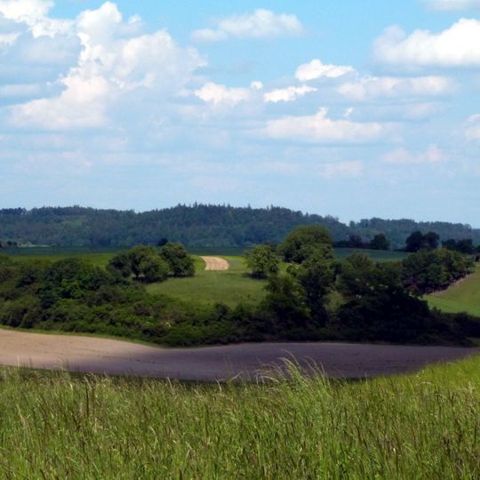 Feldgehölz bei Siglershofen