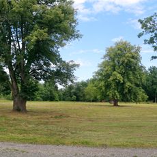 Strkovské lípy a dub