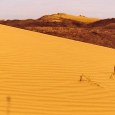 Oleshky Sands National Nature Park