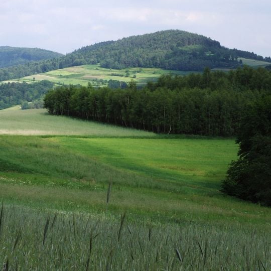 Distretto di Bochnia