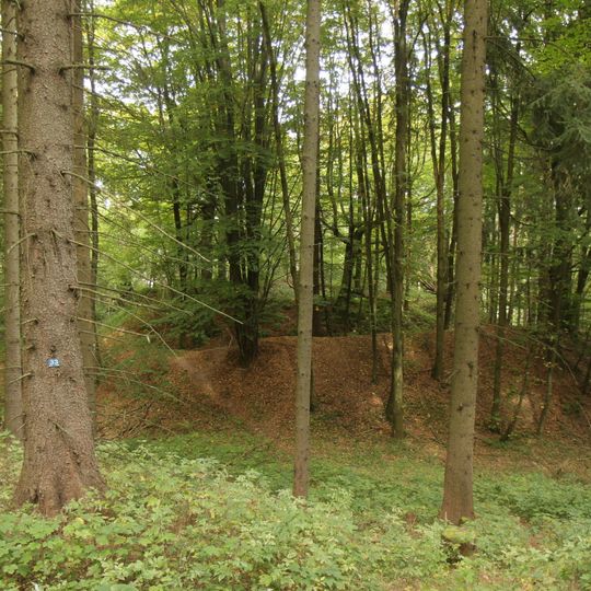 Buchenwälder bei Sitzambuch