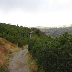 Tourist footpath nr. 0431