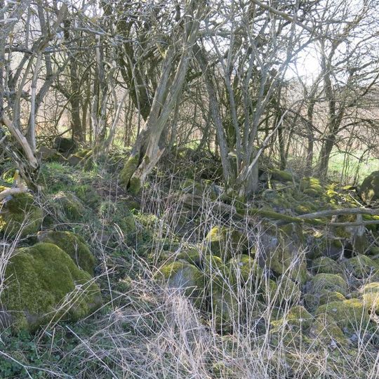 Kříž v remízu na louce severně od Knínice