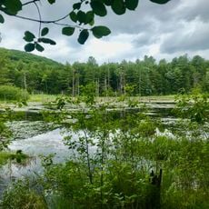Sunnybrook State Park
