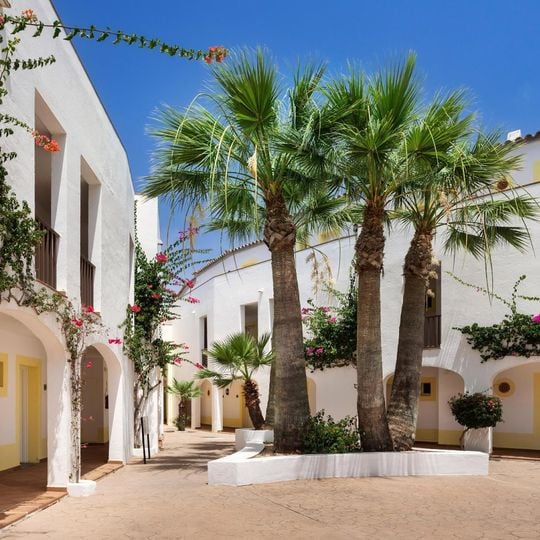 Sol Falcó All Inclusive