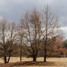 Wasserwerk Erlenstegen