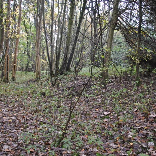 Berisbury camp near Hampshire Gate