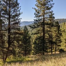 Rattlesnake National Recreation Area