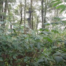 Kříž západně od Petrovic v křoví