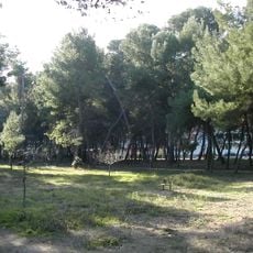Riserva naturale Pineta di Santa Filomena