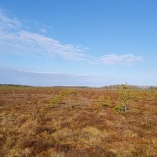 Lielais un Pemmes purvs