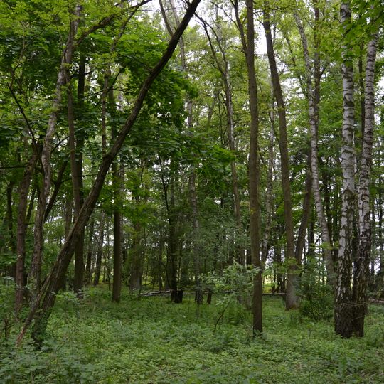 Fredersdorfer Mühlenfließ, Langes Luch und Breites Luch