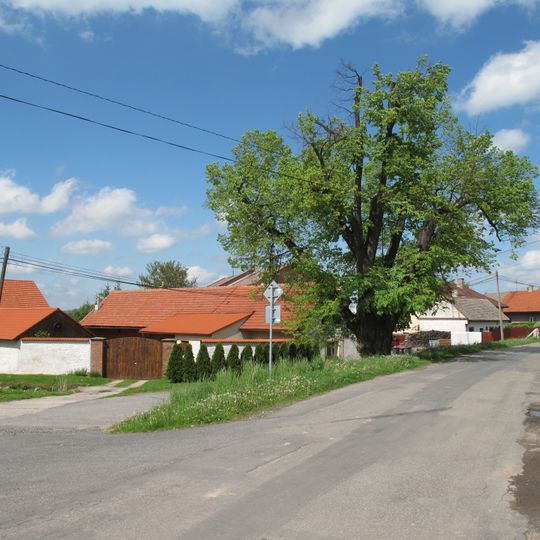 Slovanská lípa