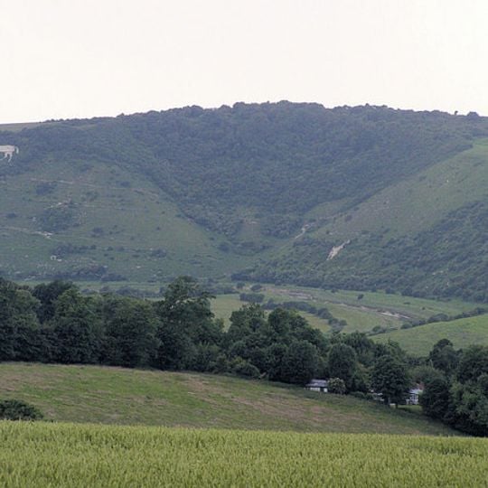 Litlington White Horse