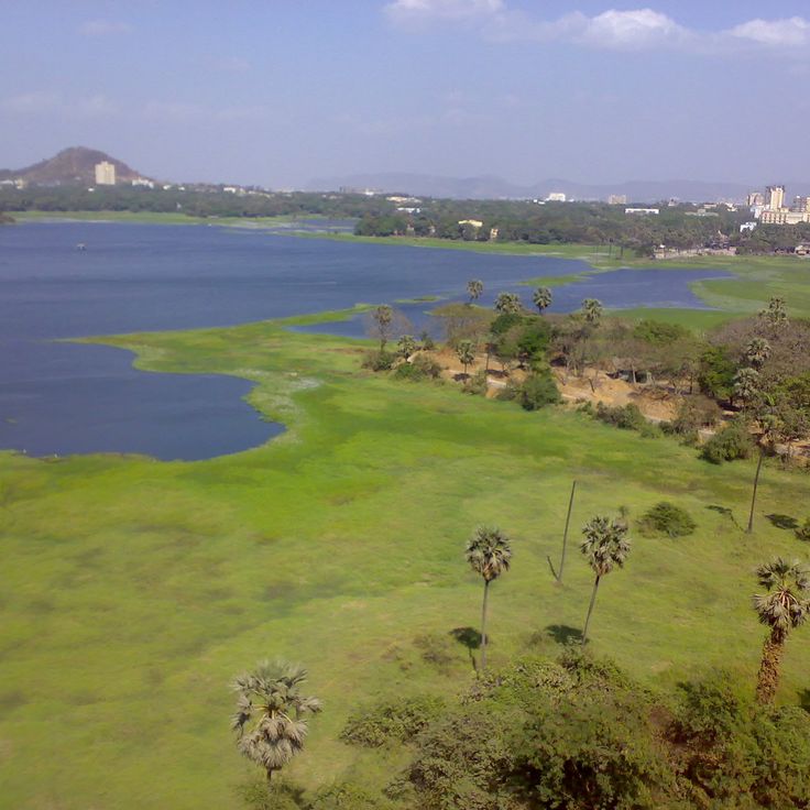 Powai Lake