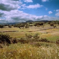 Sierra de Aracena and Picos de Aroche Natural Park