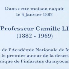 CAMILLE LIAN