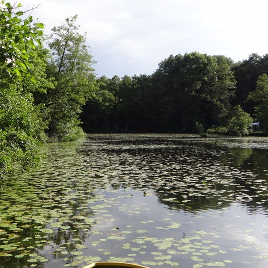 Staatsforst Rheurdt / Littard