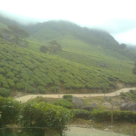Suryanelli