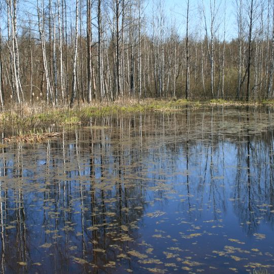 Kuciuliske Hepertological Reserve