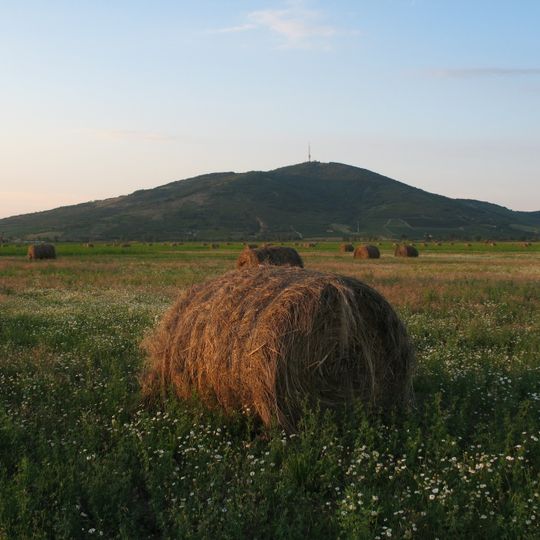 Kopasz Hill, Tokaj