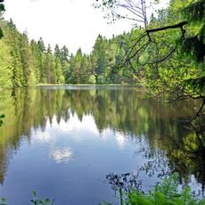 Bečovské lesní rybníky