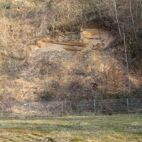 Rezerwat przyrody Piaskownia w Grafenrain