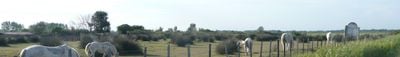 Panoramic View 1