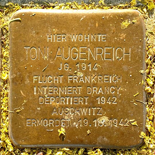 Stolperstein en memoria de Toni  Augenreich