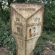 Milepost At National Grid Reference So 564220