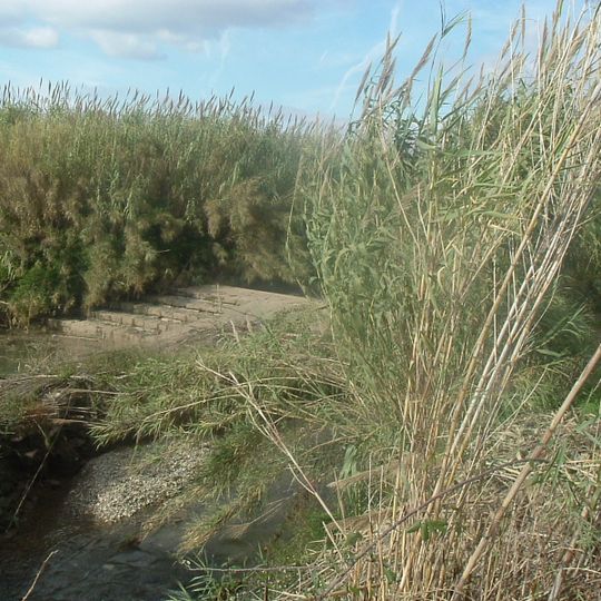 Assut de la Séquia de Mestalla