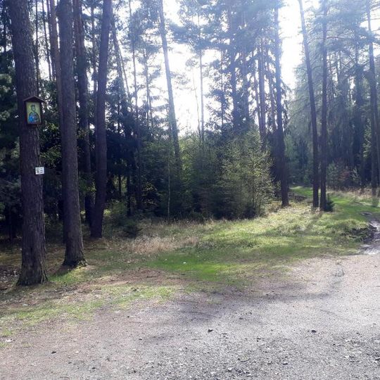 Obrázek u rozcestí západně od Dobříče