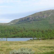 Storlægeret