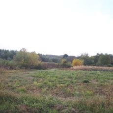 Новогребельський заказник