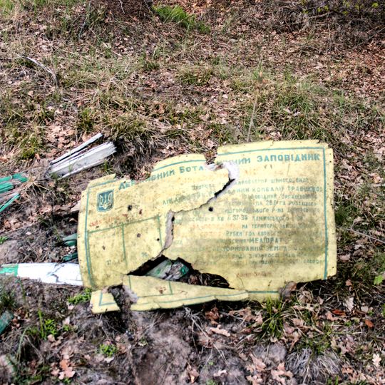 Hlybokyi Lis Reserve