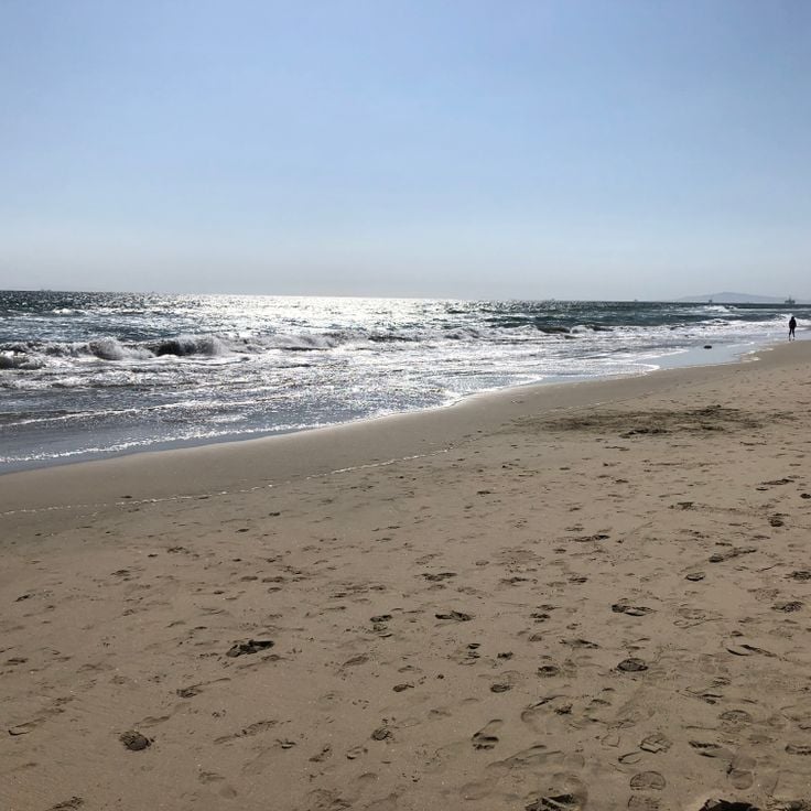 Huntington State Beach