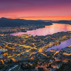 Fløyen