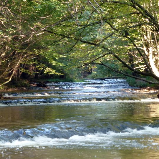 Tanew Nature Reserve