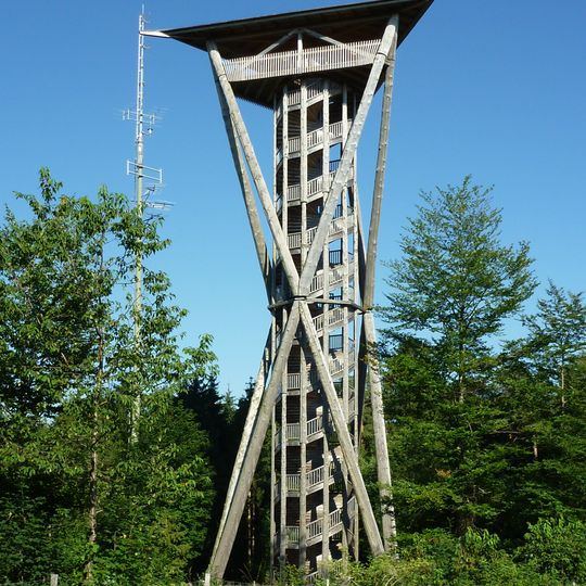 Torre de Wil