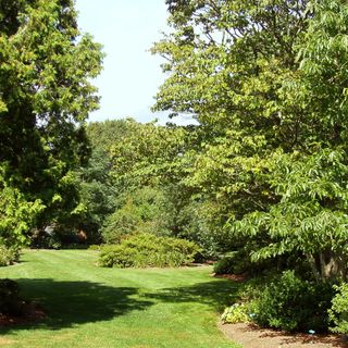 University of Rhode Island Botanical Gardens and Everett P. Christopher Arboretum